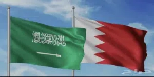 توصيل الى السعوديه والى البحرين بشكل يومي (مستلزمات واغراض وطلبات خاصه)