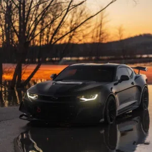 محمد عبد الله الدحيم 