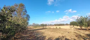 Mixed Use Land for Sale in Tocra Other