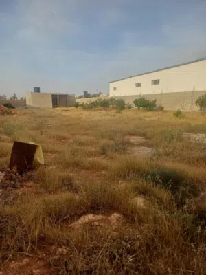 استراحة للبيع بوهادي الضبعي