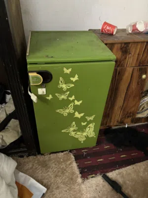 Freez fresh and good cooling