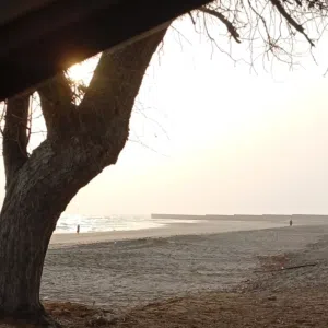 Abu Nasser