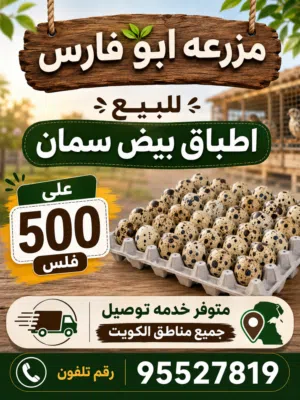 للبيع اطباق بيض فري