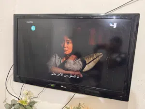 شاشه تلفاز wansa