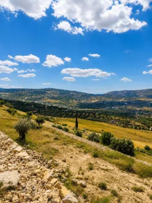 Farm Land for Sale in Salt Al Balqa'