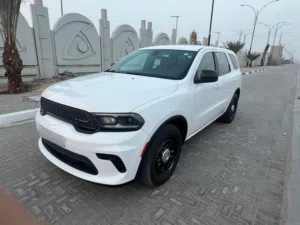 دورنكو بوليسي / 2023
