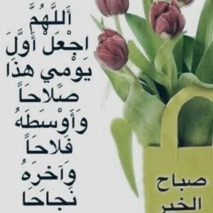 احمد ابو سيف 