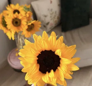 فاطمه العتيبي 