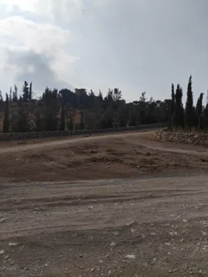 Farm Land for Sale in Jerash Tal Al-Rumman
