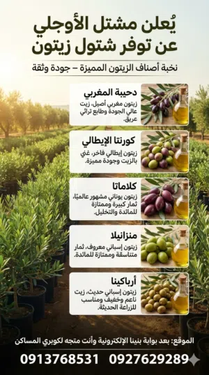 شتول زيتون مختلفة الاصناف زيت ومائدة  جودة عالية