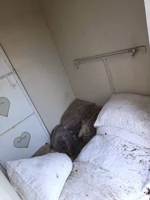 تمر مخلوط جواني واكياس نغال  ب 4.500 الحبه ولايه المضيبي مركز المدينه