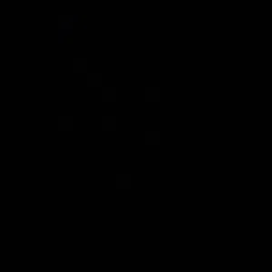 سالم الرقيشي