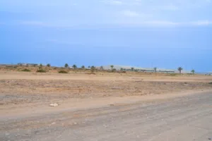 اراضي صناعية وتجاريه من المالك مباشر بالصجعه الصناعية بالشارقه مساحات 900 متر