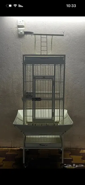 شبك طيور (ببغاء،عصافير)