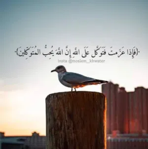 TAREK 