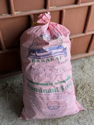 خبز للبيع الجواني الحجم الكبير سعر الجونيه 1,800
