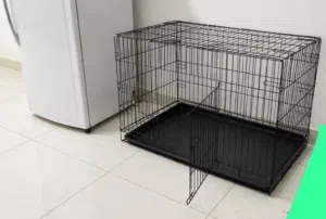 قفص للحيوانات