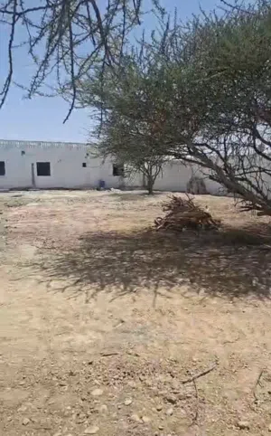 Residential Land for Rent in Ras Al Khaimah Other