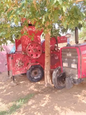 دقاقه شمس كبيره