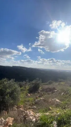 Farm Land for Sale in Hebron Firash AlHawaa