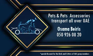 Pets Grooming2