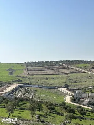 Farm Land for Sale in Irbid Ham