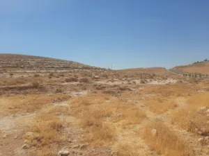 Industrial Land for Sale in Amman Abu Alanda