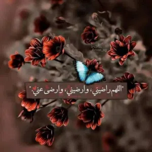 ام  فارس 