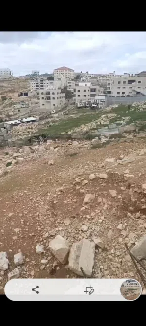 مطلوب  شريكا  للبيناء اسكان  في منطقه  كفر عقب مع صاحب الأرض   مباشره