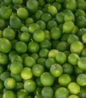 Lemon.. 800 Baisa per kg