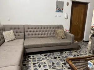 تخم قنفه مستعمل