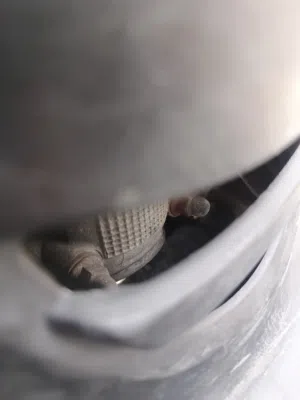 فله للبيع مكفوله كفاله عامه ختم واحد وي المكينه العنوان حي المهندسين