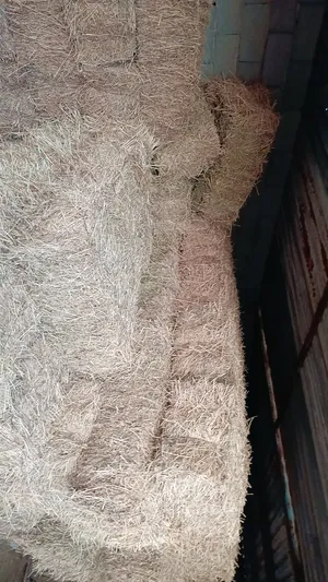 ‏طعام حيوانات ‏.‏ مواشي‏3