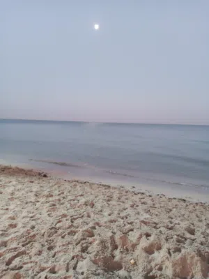 يزيد علي 