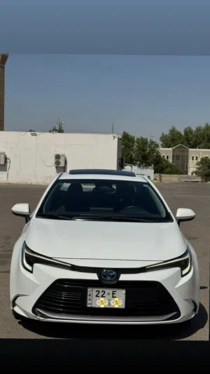 تيوتا حورلا