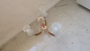 ابواب مستعمله