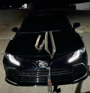 الغربي 