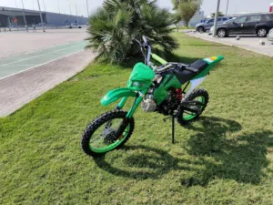 Gasoline Electric Motorcycle buggy scooter