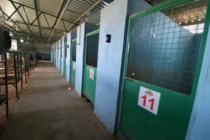 فندق خاص للكلاب بت زون يستقبلكم بفرعيه