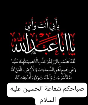 سجاد عادل صاب 
