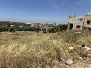 قطعة ارض سكني للبيع - اربد حكما