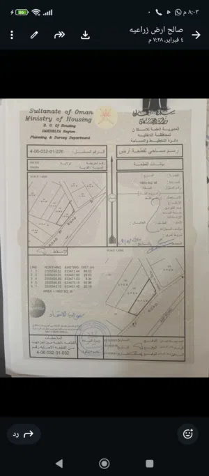 ارض زراعيه للبيع في ولاية بدبد الرحبه