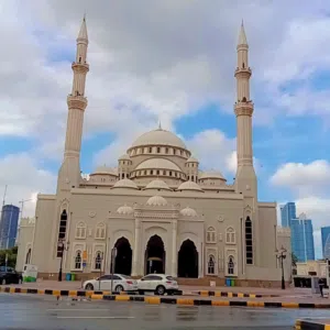 kareem mohamed 