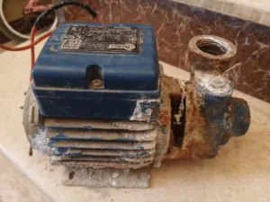 بومبة مياه نص حصان الصنع ايطالية