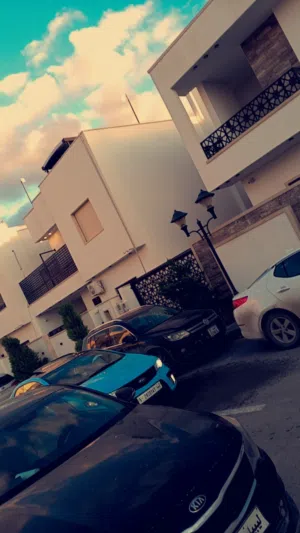 الفيتوري الفيتوري 