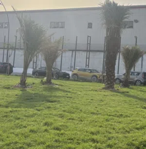عباس الكويتي 