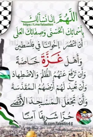محمد الميني 