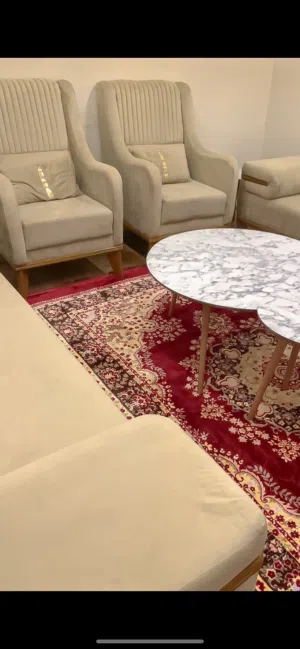 تخم قنفات للبيع