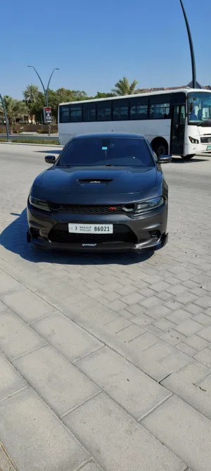 2019 Dodge Charger R/T  5.7L HEMI V8  Showroom Condition & 3M Protected