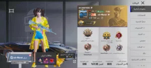 حساب ببجي للبيع اقرا الوصف